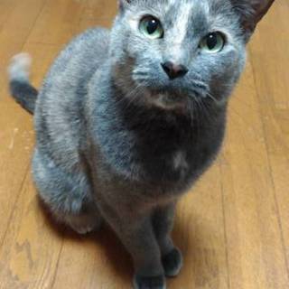 甘えたさんの女の子