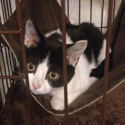 「1週間吐いていない！」サムネイル2