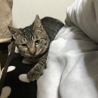 元気いっぱい遊ぶの大好きな男子