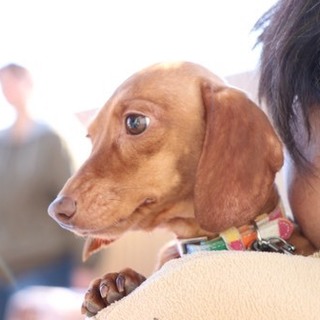 キラキラ笑顔のモナちゃん