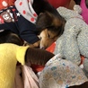 ハリー