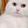 の写真