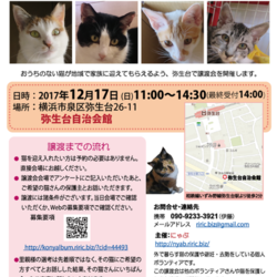 第2回 猫の譲渡会