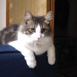 「ジジ君 1ヶ月 15日」サムネイル2