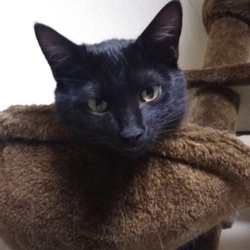 「ジジ君 1ヶ月 15日」サムネイル3