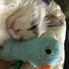 レオにゃんママ