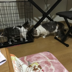 ちょっと休戦