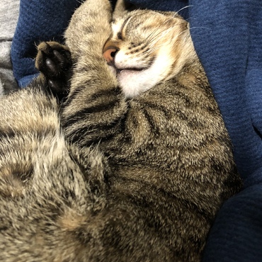 口かわいい (*´꒳`*)