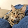 横になってると必ず添い寝してくれます