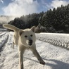 の写真