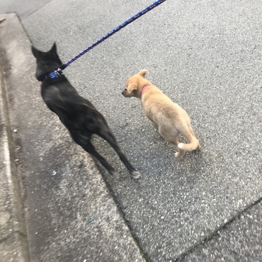 一緒に