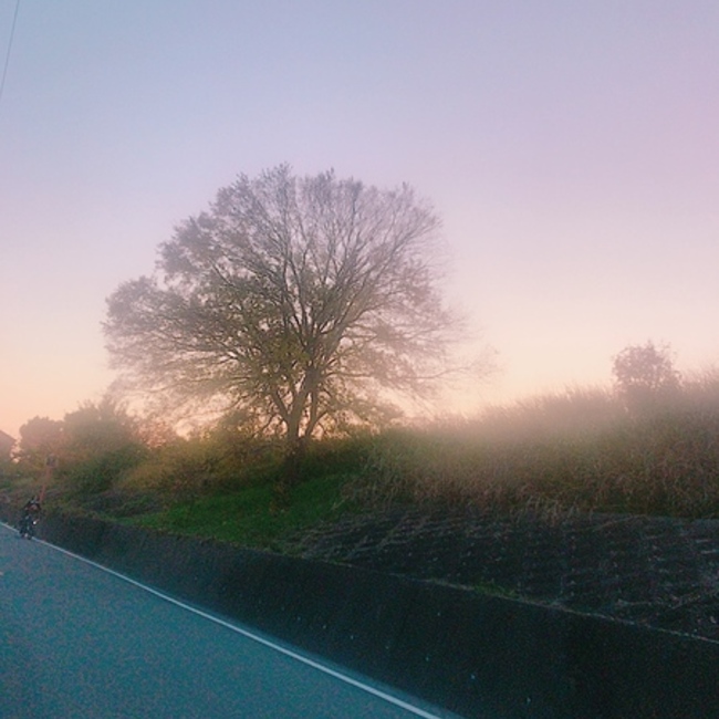 anna.sのカバー写真