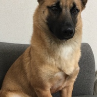 れん