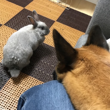 狙われてる笑 あんまりカメラが好きぢゃない。