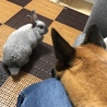 狙われてる笑 あんまりカメラが好きぢゃない。