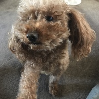 ラブ