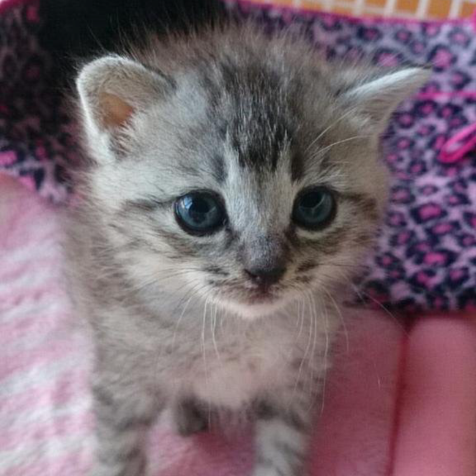 こばんのカバー写真