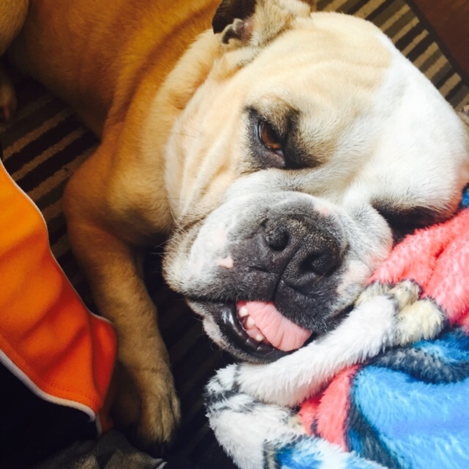 マミコのカバー写真