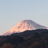 またくに