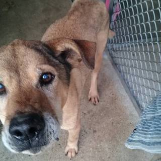 【感謝】のんびりまったりな、がもじぃ！繋がります！