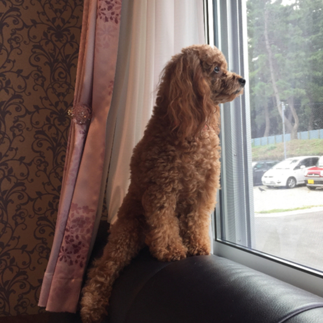 長谷川さんのカバー写真