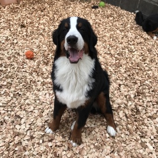 一旦締め切らせて頂きます。