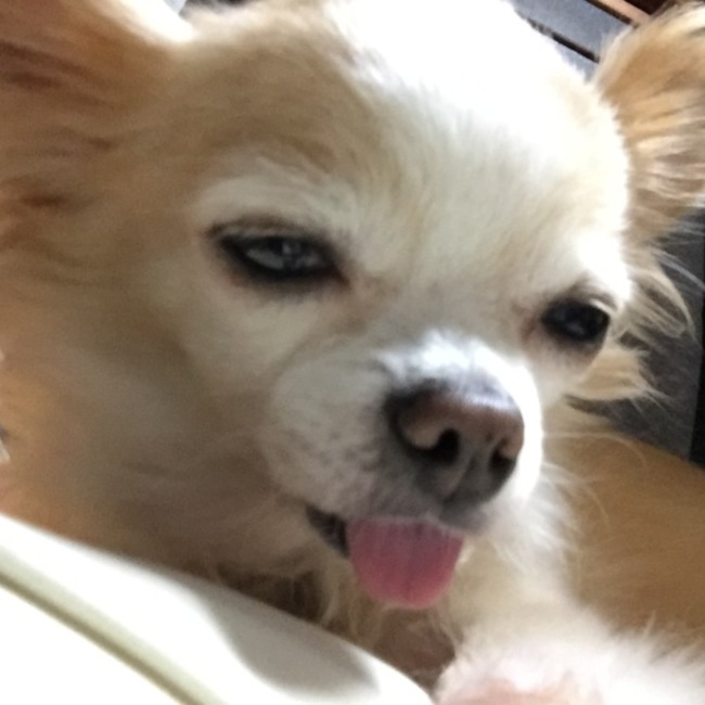 あい実のカバー写真