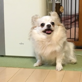 沢山のご応募・お問合せをありがとうございました。