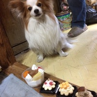 れお