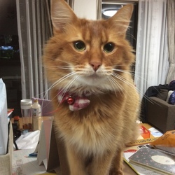 仕事の身勝手な都合により