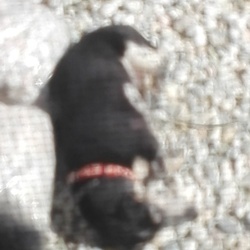 「ふらつき」サムネイル2