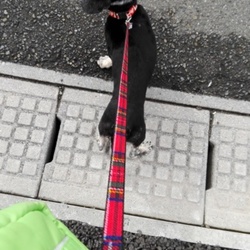 「ふらつき」サムネイル3