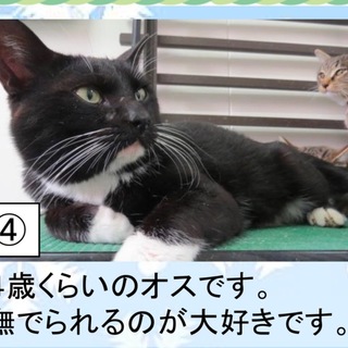 もう延長は厳しく急募です！