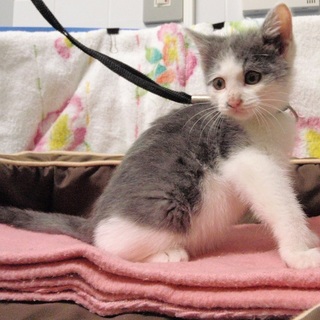 ありがとうございました！心から感謝申し上げます