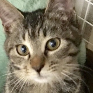 生後４ヶ月のいちごちゃん 女の子