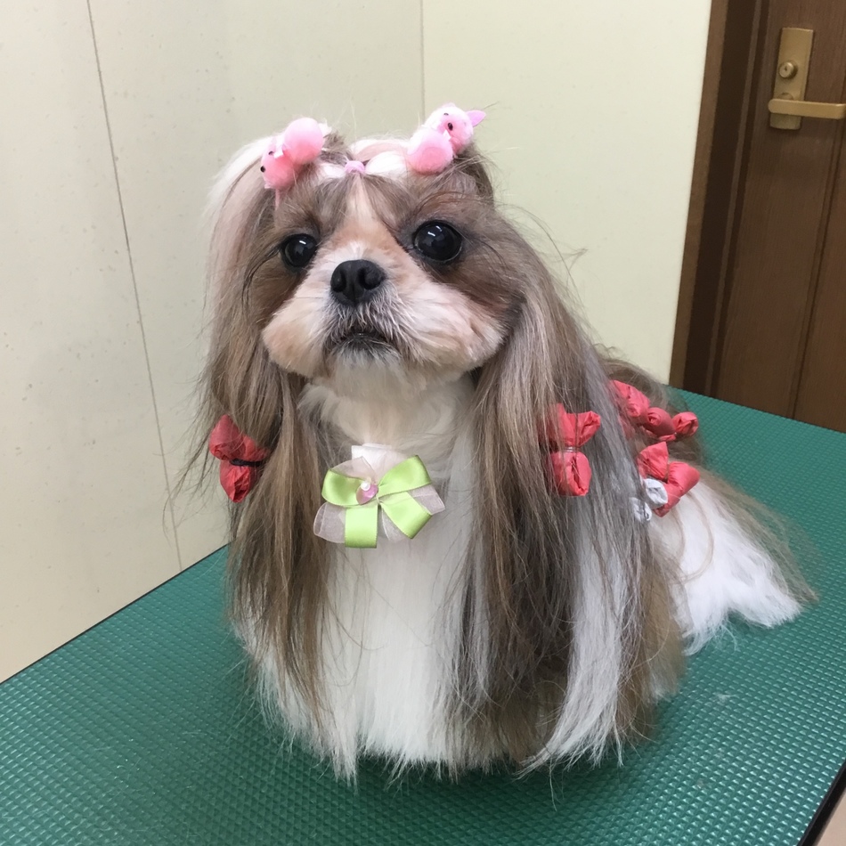 るんたのカバー写真