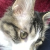 の写真