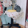 ゴマ