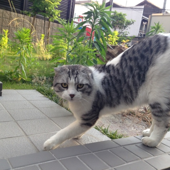 みとぅるのカバー写真