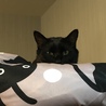 みとぅる