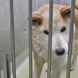 秋男じいちゃんに暖かい寝床を…