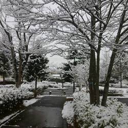 寒くても♪ヽ(´▽｀)/