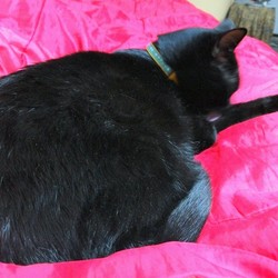 「冬がやって来た！」サムネイル2