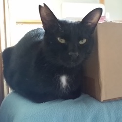 「お知らせです。」サムネイル3