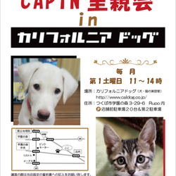 CAPIN里親会inカリフォルニアドッグ