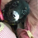 家族ができました。