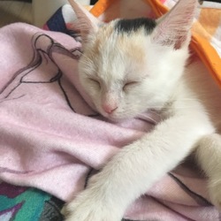 我が家へようこそ(*'▽'*)