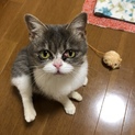 【募集再開】個性的な顔の女の子、甘えっこです