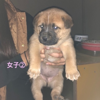 良いご縁に繋がりました。