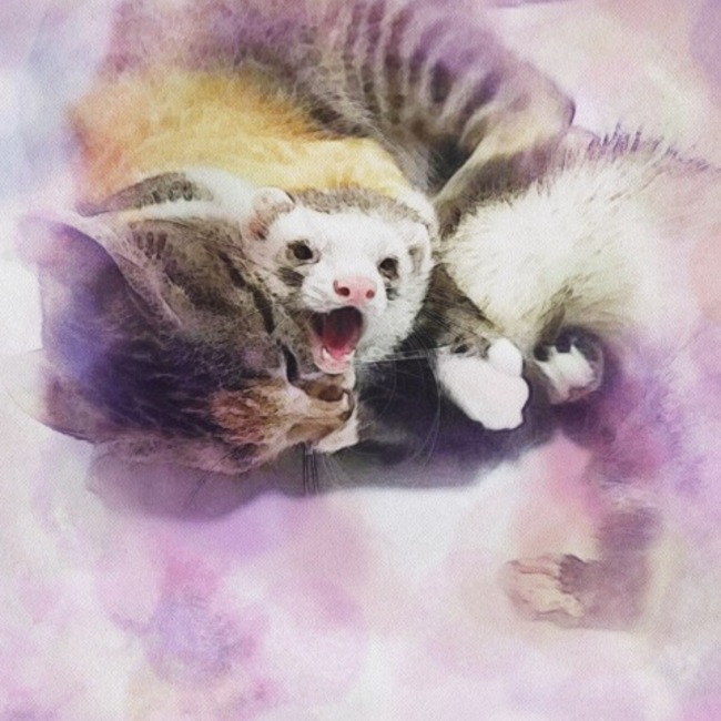 ab31103のカバー写真